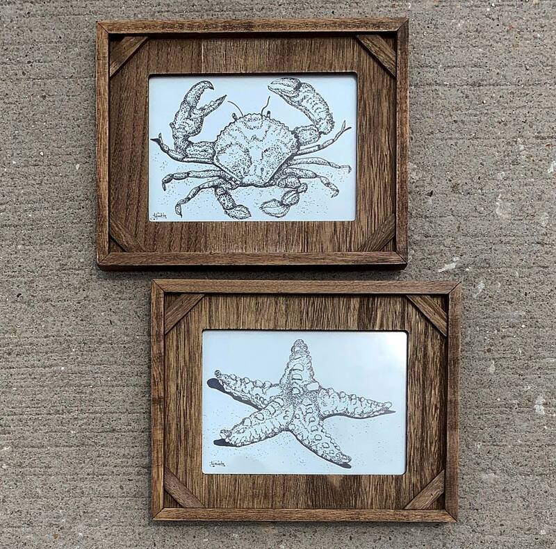 Starfish drawing and crab drawing in wooden frames.